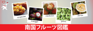 南国フルーツ図鑑
